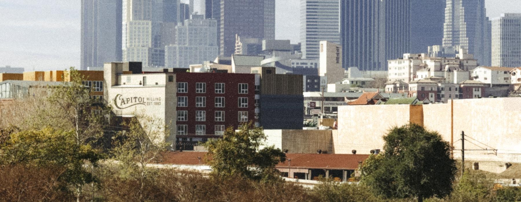 a couple walking in a park with a city in the background