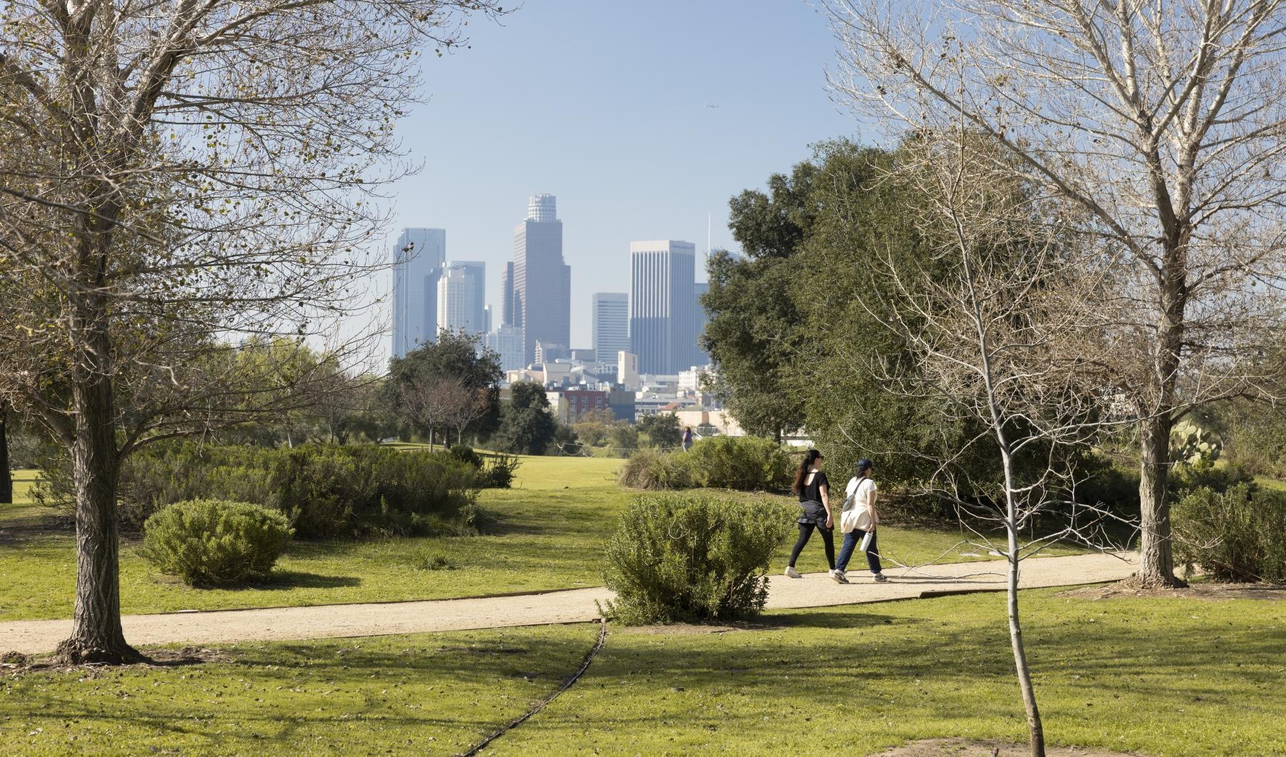 a couple walking in a park